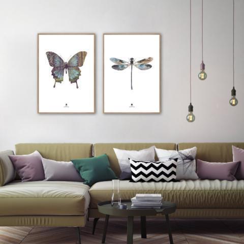 Schmetterling | POSTER