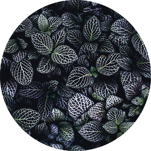 Moon Flowers | Circle Art