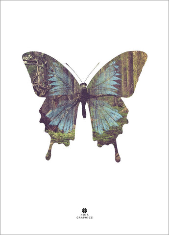 Schmetterling | POSTER