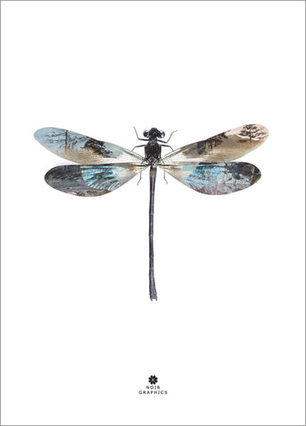 Dragon Fly | Poster