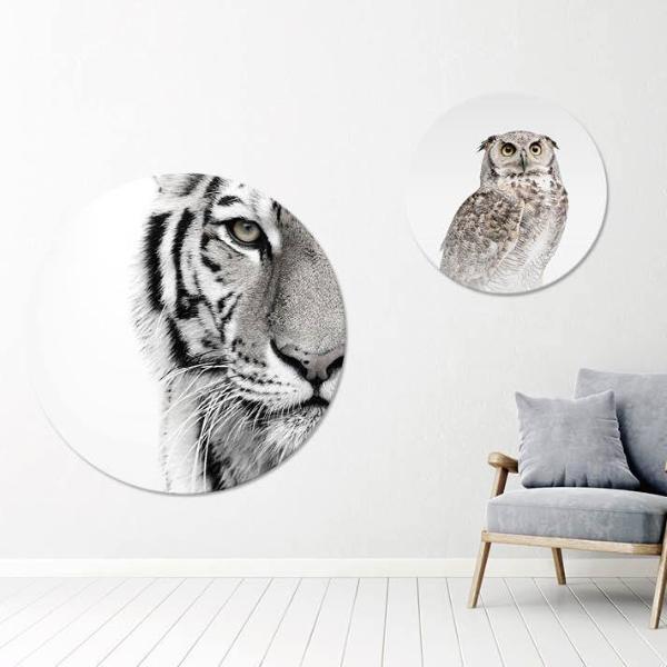 Witte tijger | Circle Art