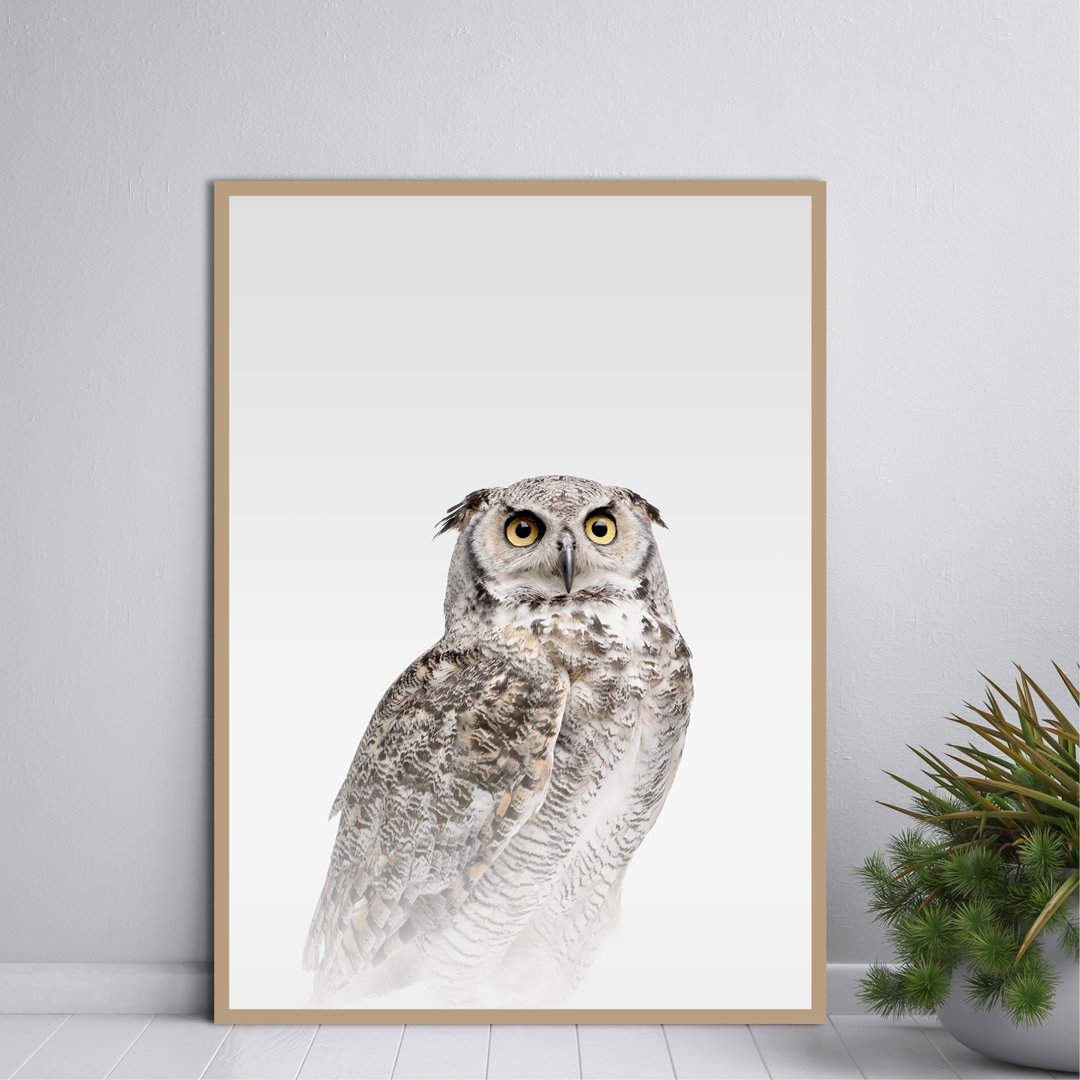 Misty Owl | POSTER