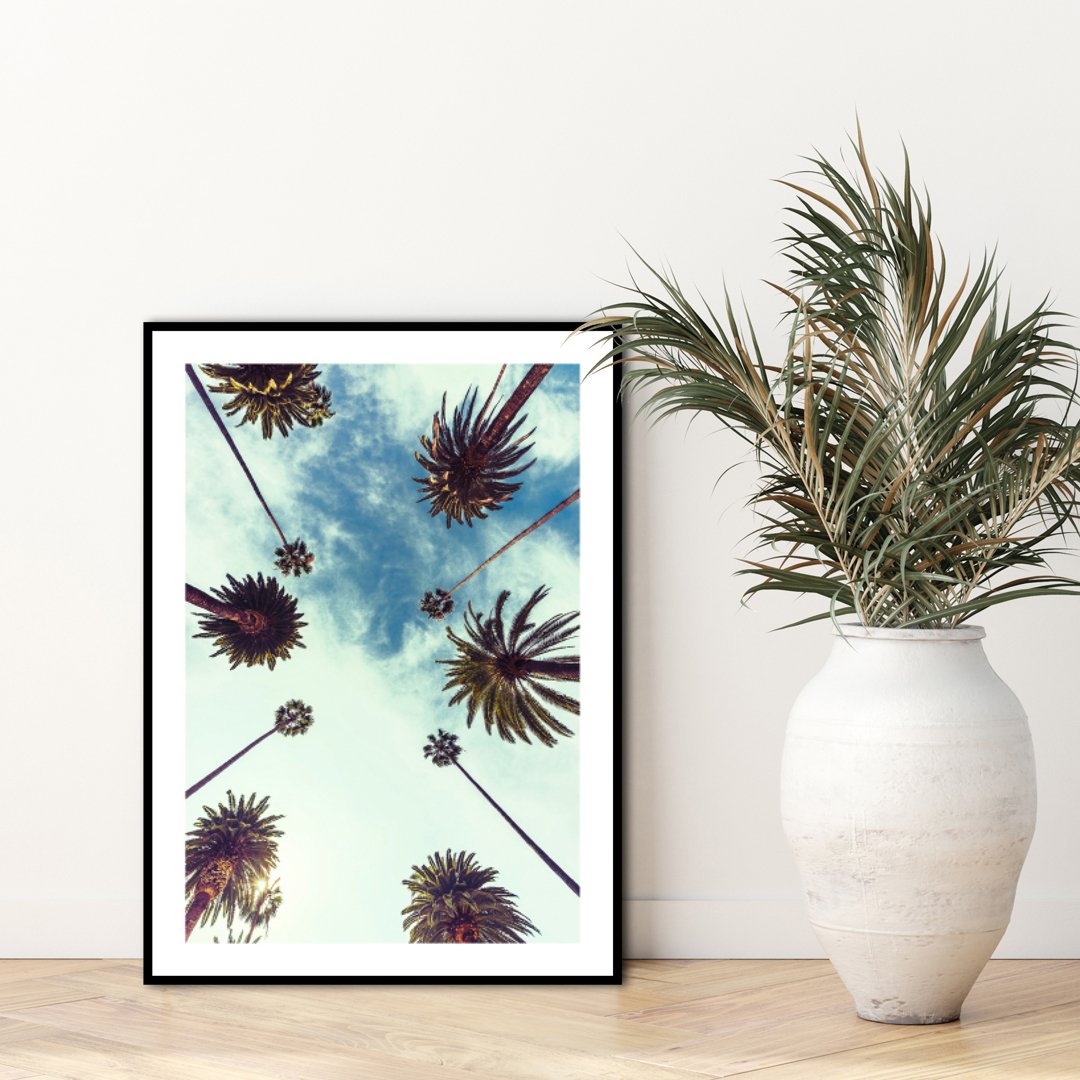 Palm Sky 2 | Plakatbrett